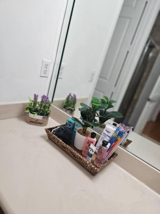 D&N Property Rental Miami Ngoại thất bức ảnh